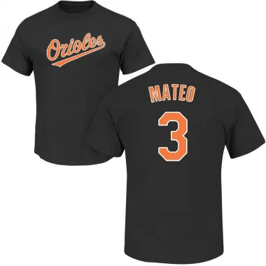 Shintaro Fujinami Baltimore Orioles Youth Orange Roster Name & Number  T-Shirt 